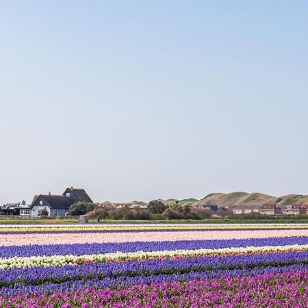 Duinland 251 - Park Duinland Sint Maartenszee Sint Maartensvlotbrug Exteriér fotografie