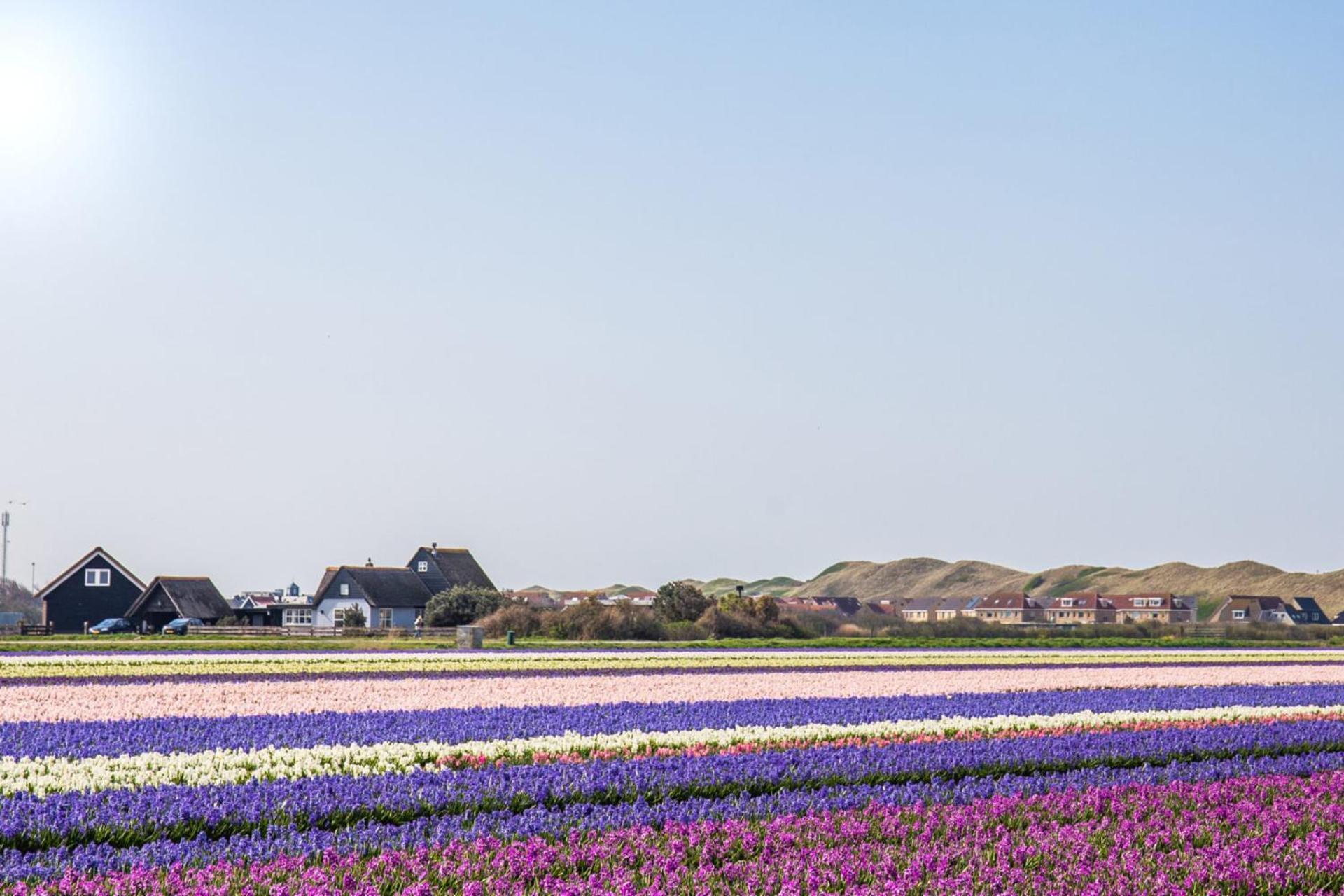 Duinland 251 - Park Duinland Sint Maartenszee Sint Maartensvlotbrug Exteriér fotografie